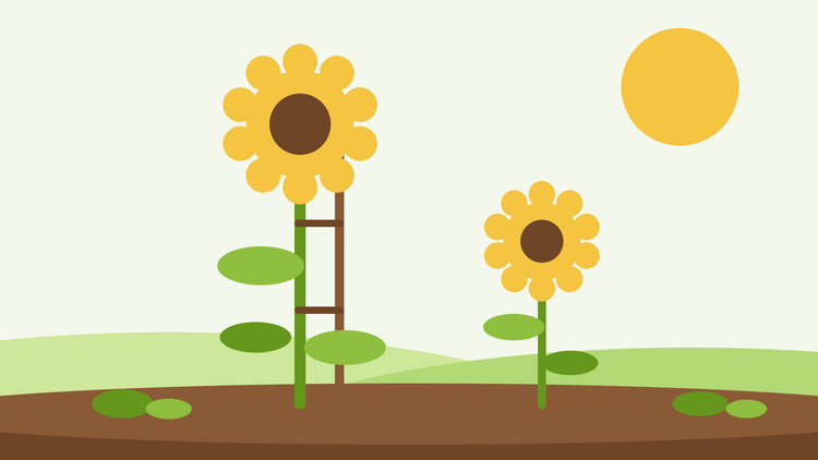 Sunflower care — flat illustration of a tall sunflower tied to a wooden stake beside a smaller sunflower in a sunny garden