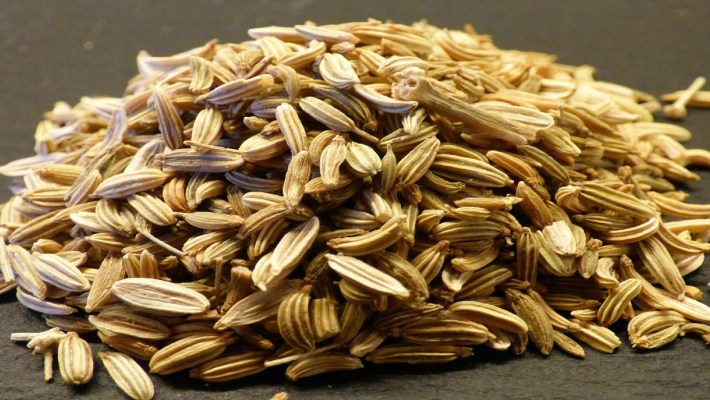 Nasiona ziół – SeedsChoice