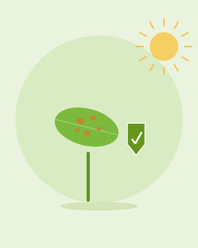 Flat illustration of a spotted leaf beside a green protection shield — preventing common plant diseases, from SeedsChoice