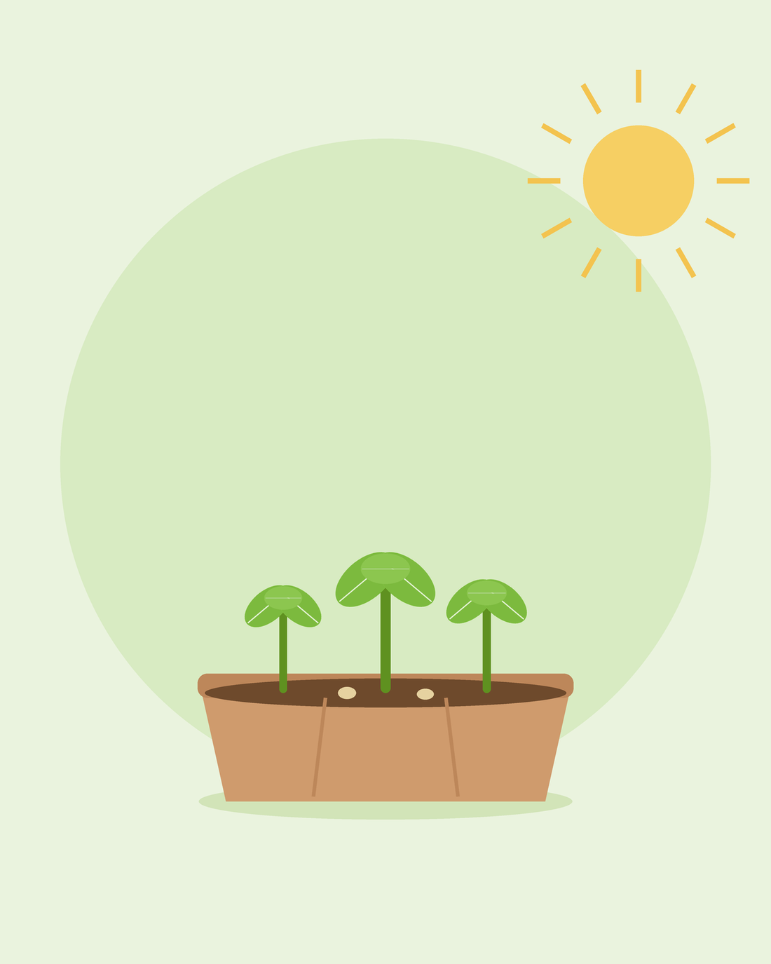 Płaska ilustracja tacy siewnej z trzema młodymi siewkami w słońcu — uprawa z nasion dla początkujących, od SeedsChoice
