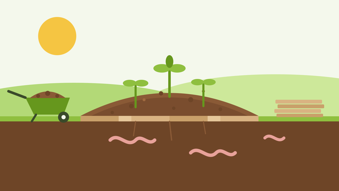 No-dig gardening — flat illustration of a no-dig bed in cross-section: cardboard over the ground, a mound of compost with seedlings on top, worms in the soil below and a wheelbarrow of compost