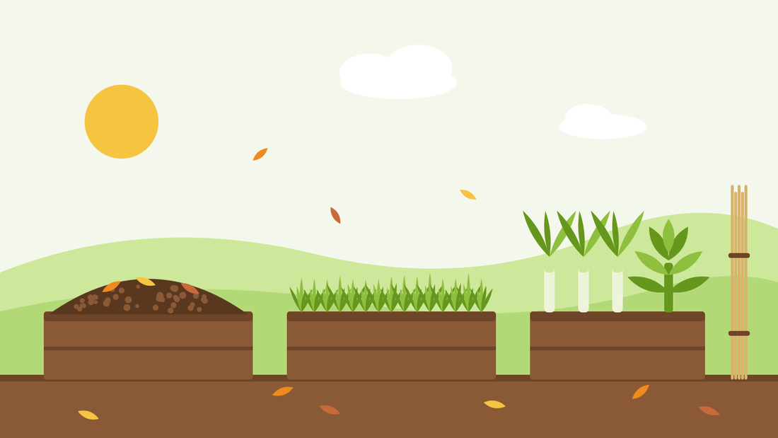 How to put a vegetable garden to bed for winter — flat illustration of three raised beds under compost mulch, green manure and leeks with kale, beside a bundle of stored canes and autumn leaves