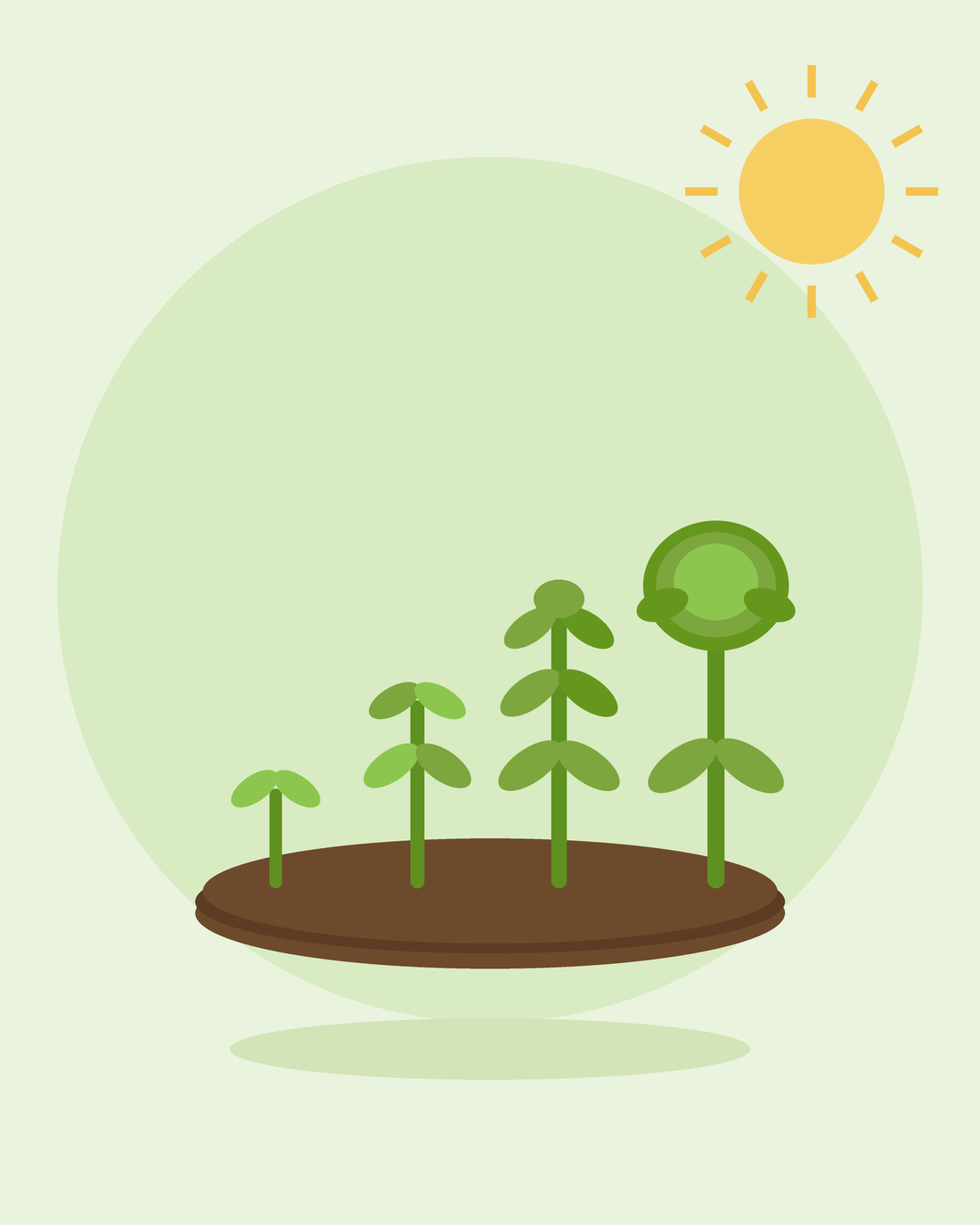 Płaska ilustracja rzędu roślin rosnących etapami od kiełka do gotowych do zbioru — siew sukcesywny, od SeedsChoice