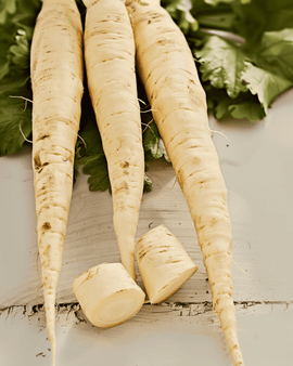 Parsnip Guernsey Seeds Organic Pastinaca Sativa Annual