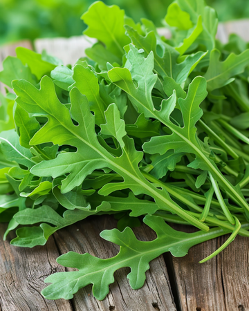 Nasiona rukoli (Eruca sativa) – organiczne roczne warzywo
