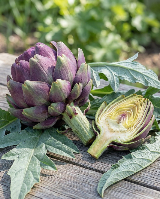 Karczoch Violet De Provence (Cynara cardunculus) – nasiona wieloletniej rośliny warzywnej od SeedsChoice
