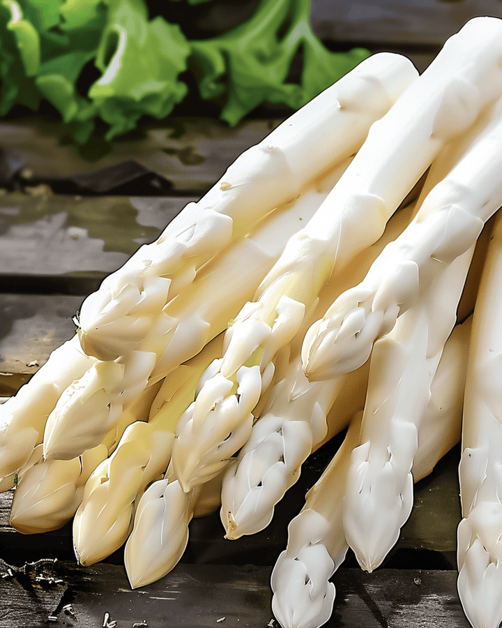 Nasiona Early Argenteuil (Asparagus officinalis) – bylina