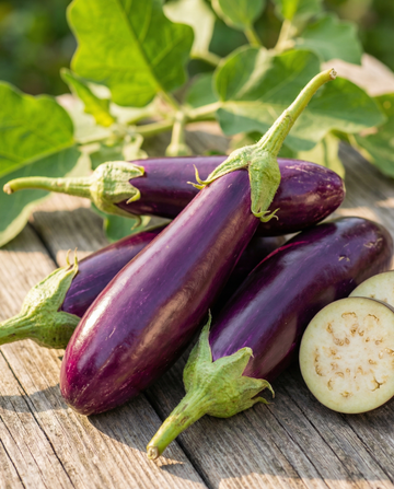 Bakłażan Violetta Lunga 2 (Solanum melongena) – nasiona jednorocznego warzywa od SeedsChoice