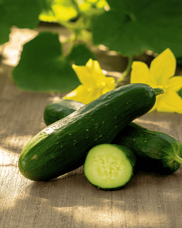 Nasiona ogórka Hokus (Cucumis sativus) – warzywo jednoroczne