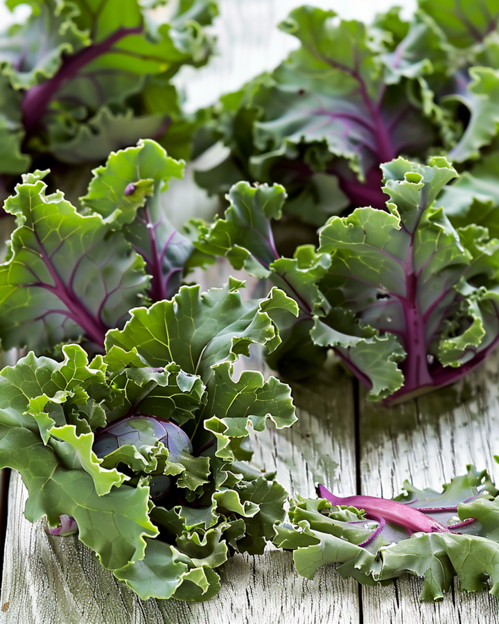 Nasiona Sprouts Garden Mix F1 (Brassica oleracea) – kwiat jednoroczny
