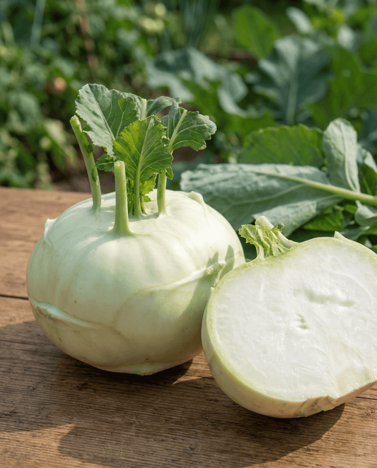 Kalarepa Lanro (Brassica oleracea) – nasiona jednorocznego warzywa od SeedsChoice