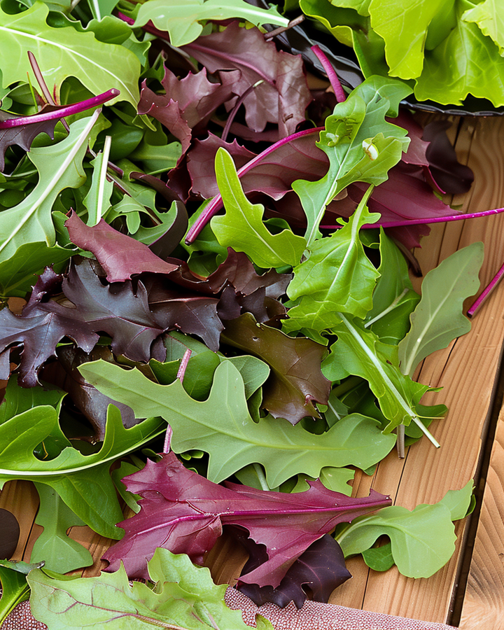 Babyleaf Lettuce Mixture seeds (Lactuca sativa) – annual vegetable