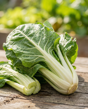 Boćwina Lucullus (Beta vulgaris) – nasiona rocznego warzywa od SeedsChoice