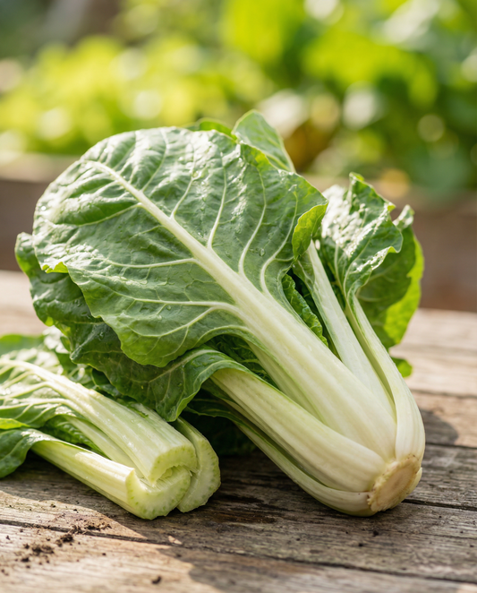Boćwina Lucullus (Beta vulgaris) – nasiona rocznego warzywa od SeedsChoice