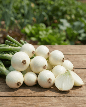 Cebula do kiszenia (Allium cepa) – nasiona jednorocznych warzyw od SeedsChoice