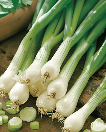 Nasiona cebuli dymki Ishikura (Allium fistulosum) – jednoroczne warzywo