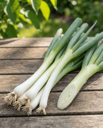 Cebula dymka Ishikura (Allium fistulosum) – roczne nasiona warzywne od SeedsChoice