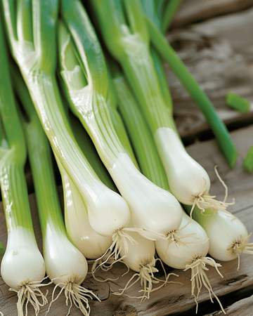 Nasiona szczypiorku White Lisbon (Allium cepa) – warzywo jednoroczne