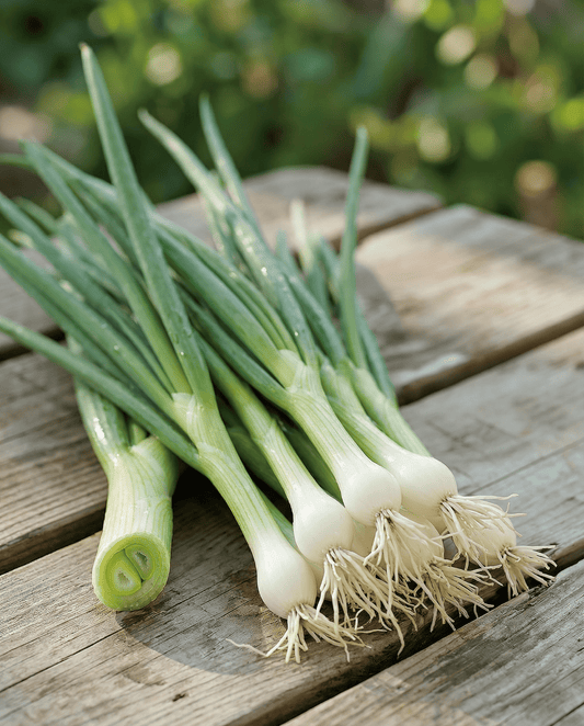Szczypiorek White Lisbon (Allium cepa) – jednoroczne nasiona warzyw od SeedsChoice