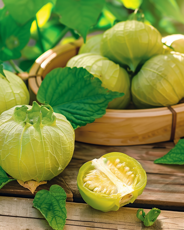 Nasiona tomatillo (Physalis ixocarpa) – jednoroczne warzywo
