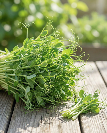 Mikrolistki z groszku (Pisum sativum) – jednoroczne nasiona na mikrolistki od SeedsChoice