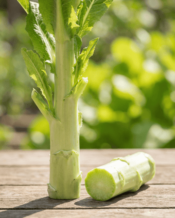 Sałata łodygowa (Lactuca sativa) – jednoroczne nasiona warzyw od SeedsChoice