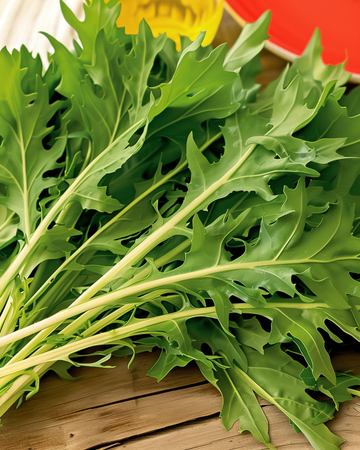 Nasiona Mizuna (Brassica rapa) – warzywo