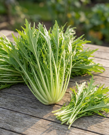 Mizuna (Brassica rapa) – nasiona warzyw od SeedsChoice