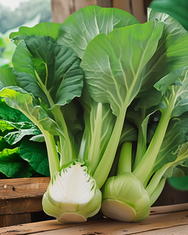 Pak Choi Seeds Green F1 Brassica Pekinensis Annual