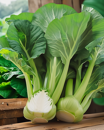 Nasiona pak choi Green F1 (Brassica pekinensis) – jednoroczne warzywo