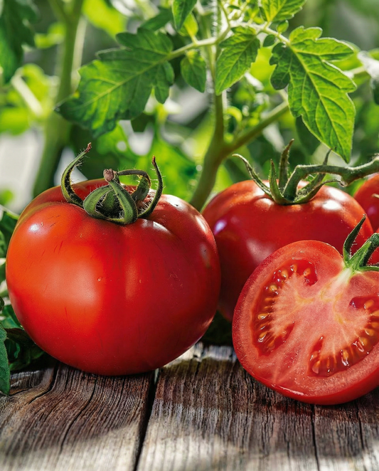 Pomidor Marglobe (Solanum lycopersicum) – nasiona warzyw od SeedsChoice