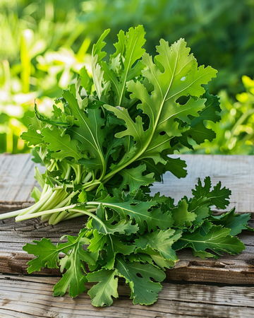 Wild Rocket seeds (Diplotaxis tenuifolia) – perennial vegetable