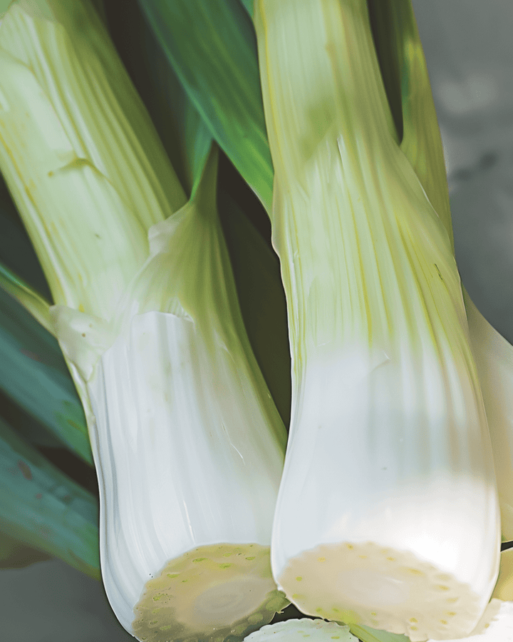 Nasiona pora zimowego Tornado (Allium porrum) – warzywo