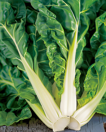 Nasiona boćwiny Verde A Costa Bianca (Beta vulgaris) – warzywo