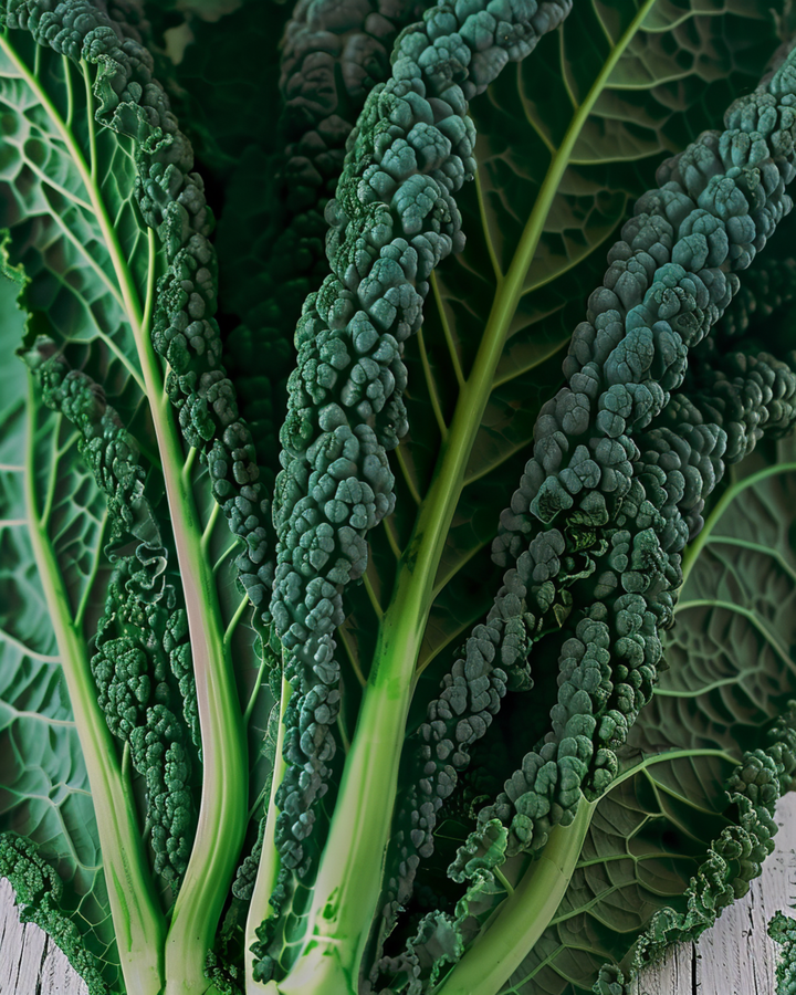 Nasiona jarmużu Nero Di Toscana (Brassica oleracea) – warzywo jednoroczne