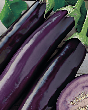 Nasiona bakłażana Violetta Lunga Medium Early (Solanum melongena) – warzywo