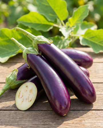 Bakłażan Violetta Lunga Medium Early (Solanum melongena) – nasiona warzywne od SeedsChoice