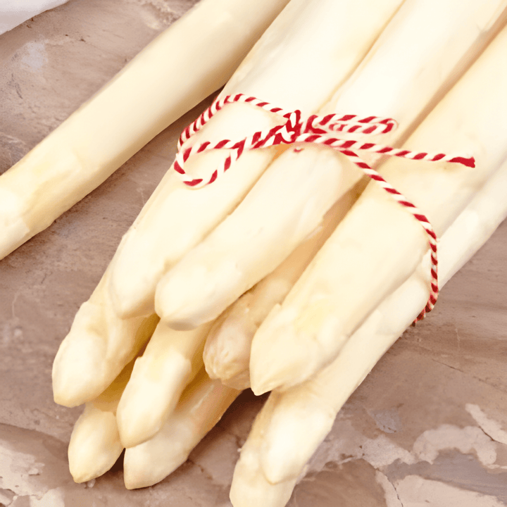 Nasiona Argenteuil (Asparagus officinalis) – bylina