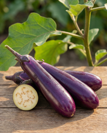 Bakłażan Violetta Lunga 2 Long Purple (Solanum melongena) – nasiona jednorocznego warzywa od SeedsChoice