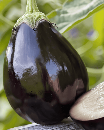 Nasiona bakłażana Black Beauty (Solanum melongena) – jednoroczne warzywo