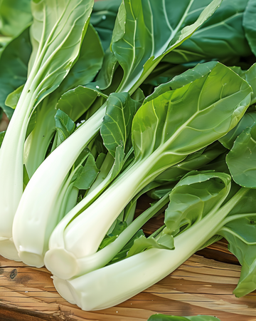 Nasiona Japanese Pak Choy Taisai (Brassica campestris) – roślina jednoroczna