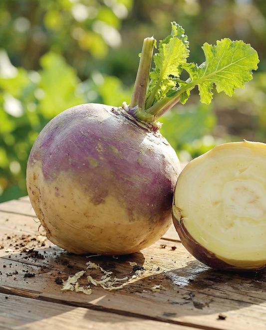 Brukiew Champion (Brassica napus) – nasiona warzyw jednorocznych od SeedsChoice