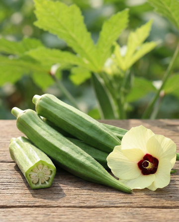 Okra Clemson Spineless (Abelmoschus esculentus) – jednoroczne nasiona warzyw od SeedsChoice