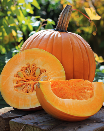 Nasiona dyni Atlantic Giant (Cucurbita maxima) – warzywo jednoroczne