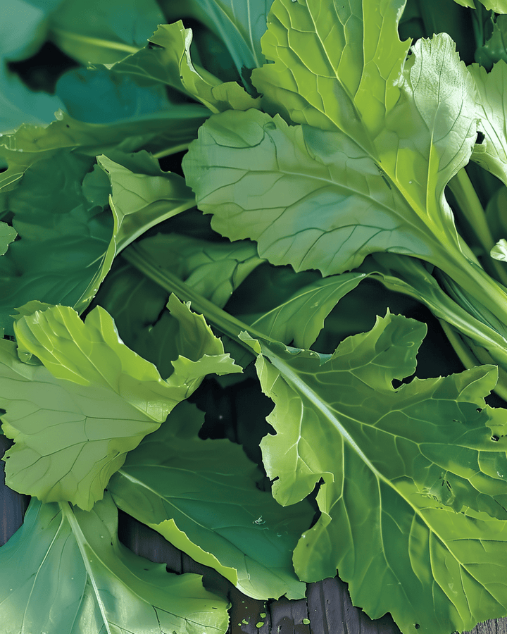 Namenia Greens seeds (Brassica rapa) – annual vegetable