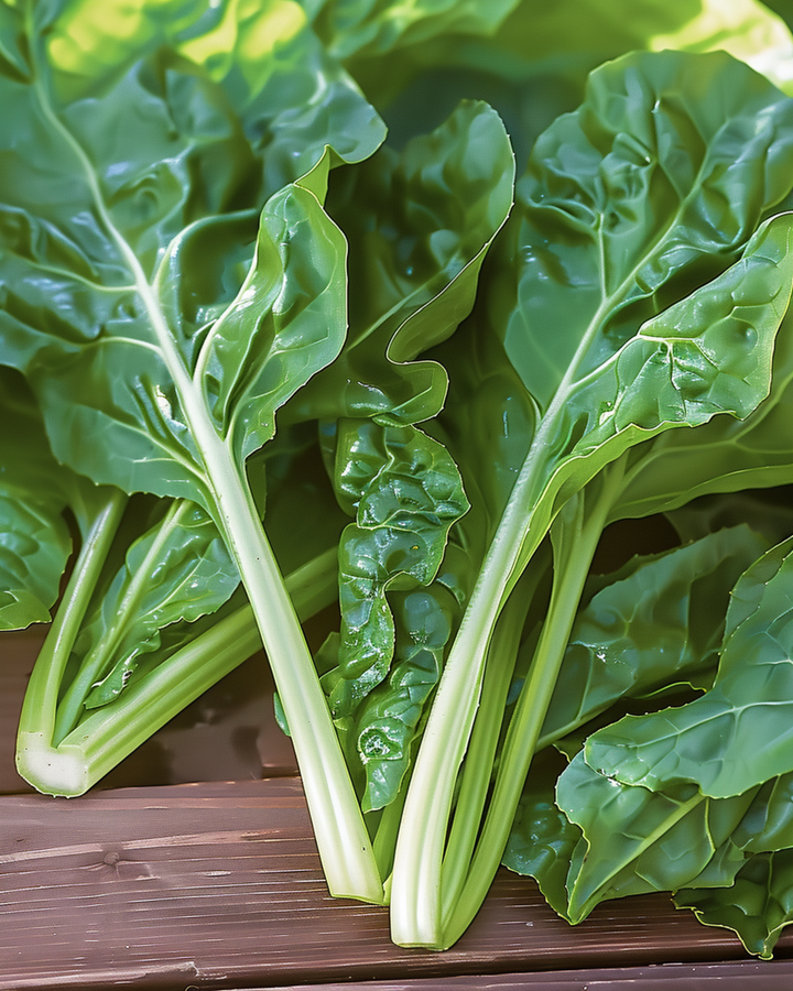 Nasiona boćwiny Common Green (Beta vulgaris) – roczne warzywo