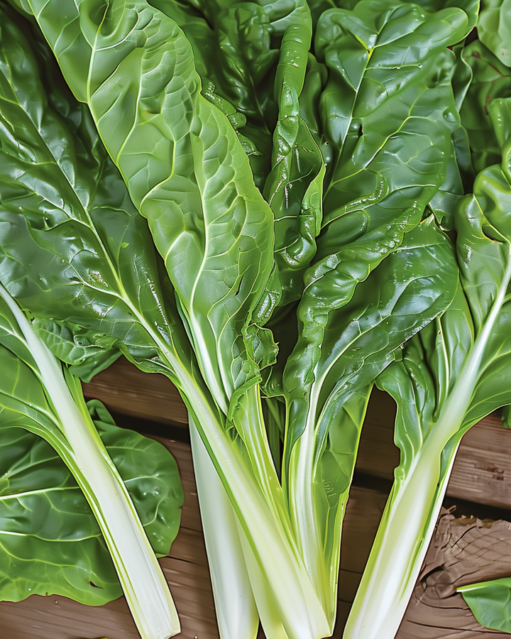 Nasiona boćwiny Lucullus (Beta vulgaris) – roczne warzywo