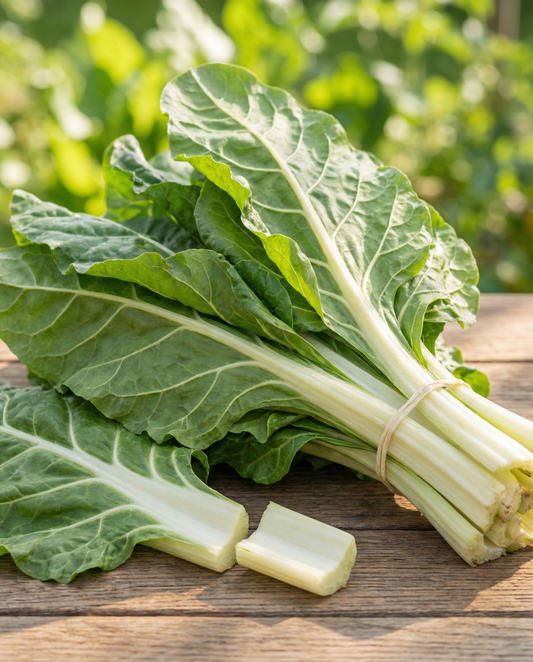Boćwina Lucullus (Beta vulgaris) – nasiona rocznego warzywa od SeedsChoice
