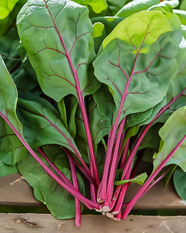 Spinach Red Kitten F1 Seeds Spinacia Oleracea Annual