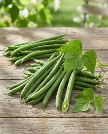 Dwarf French Bean Domino 25g (Phaseolus vulgaris) – annual vegetable seeds from SeedsChoice